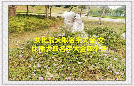 女比熊犬取名字大全 女比熊犬取名字大全四个字